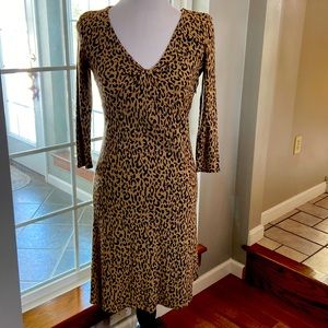 Ann Taylor loft petites